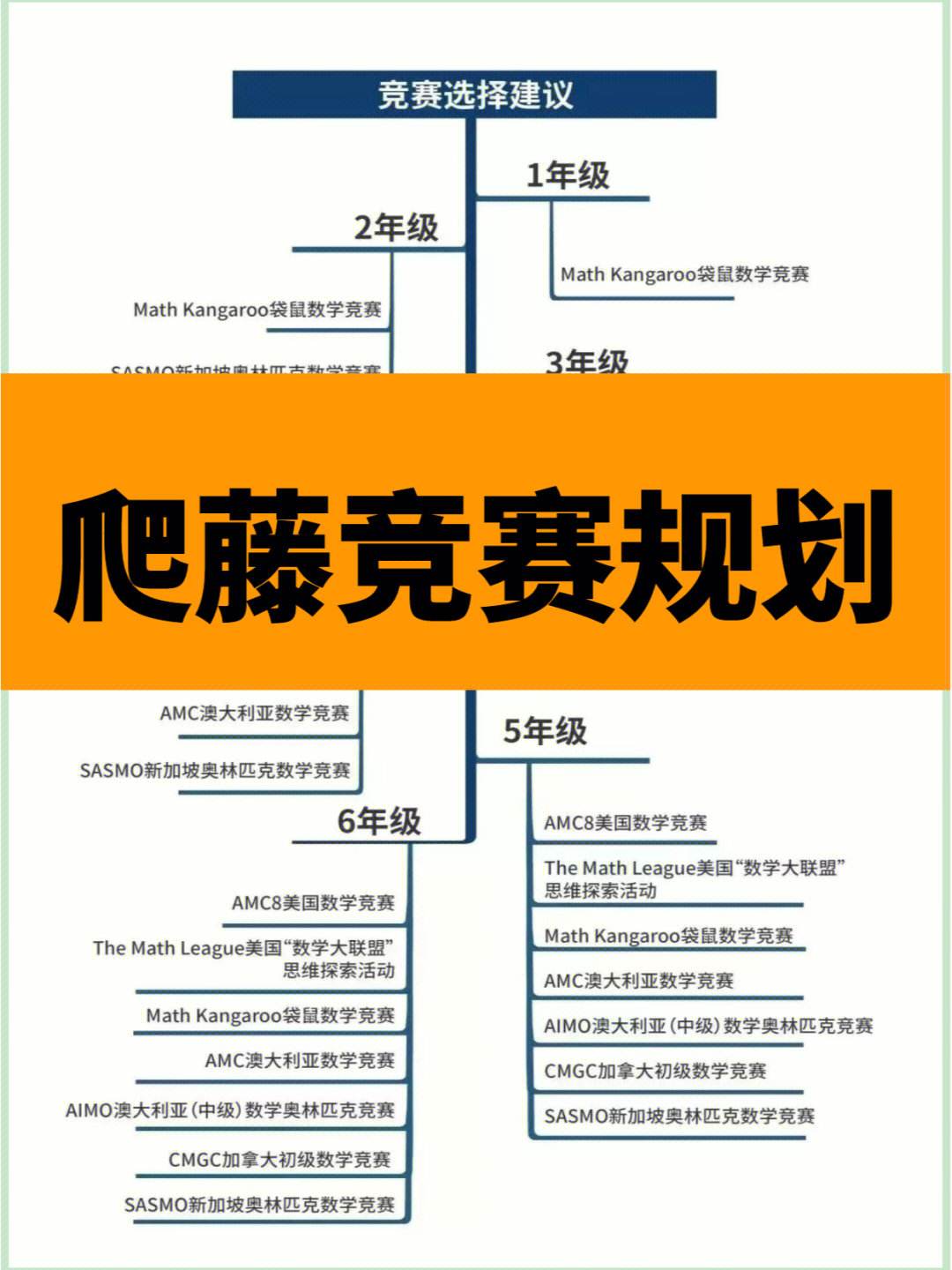 亚洲杯后球队备战规划，提升竞技实力